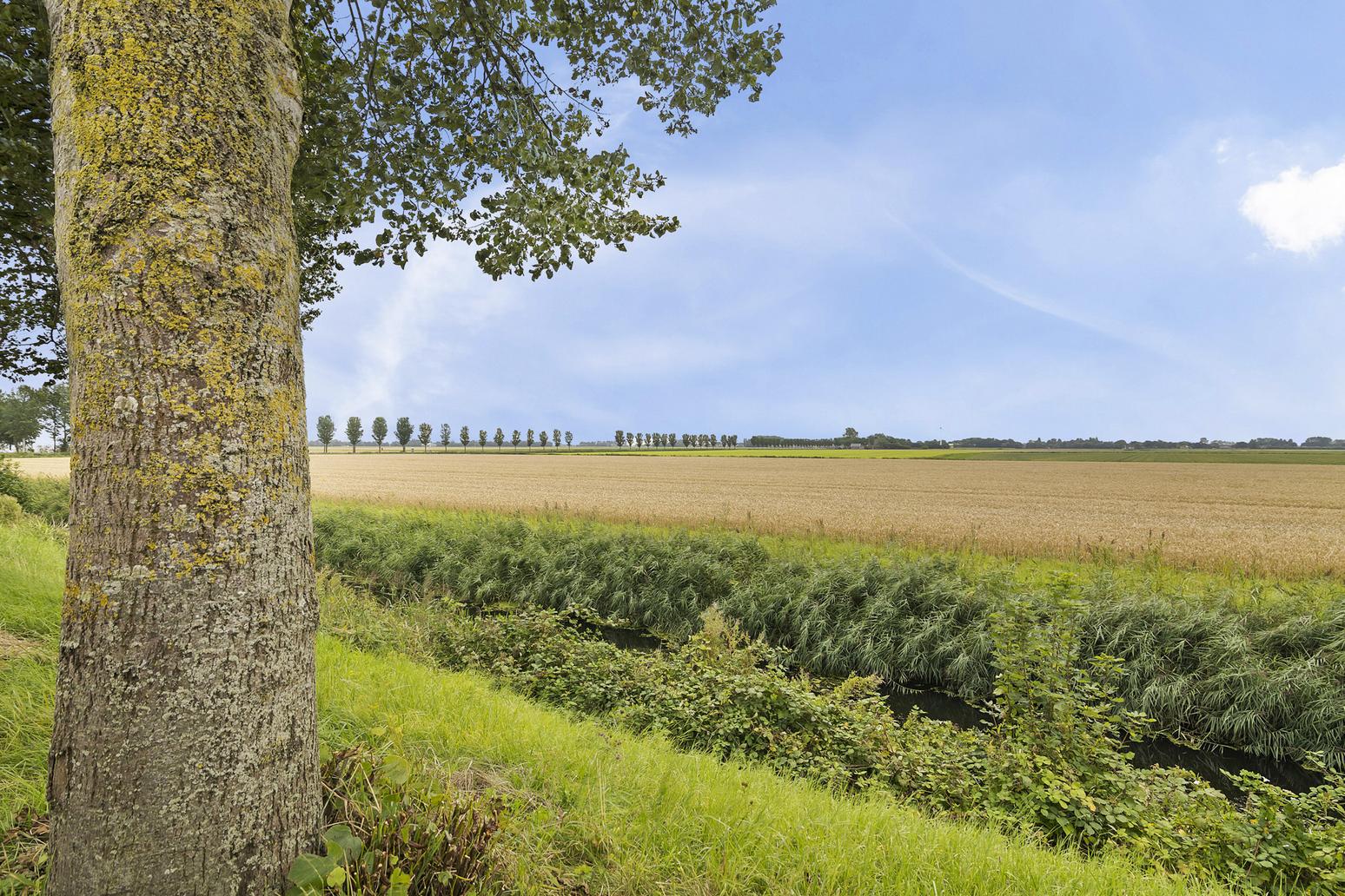 Oudebildtdijk 420 in Nij altoenae